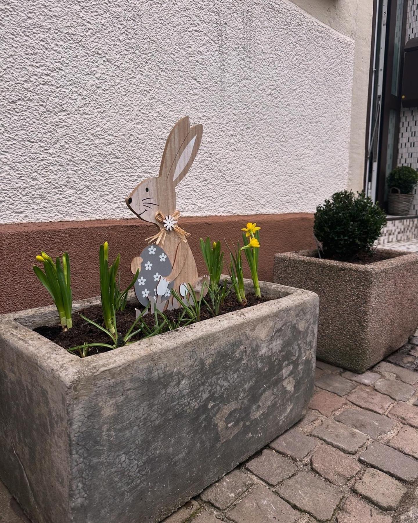 Ferienwohnung Am Berg Bad Bergzabern Bagian luar foto